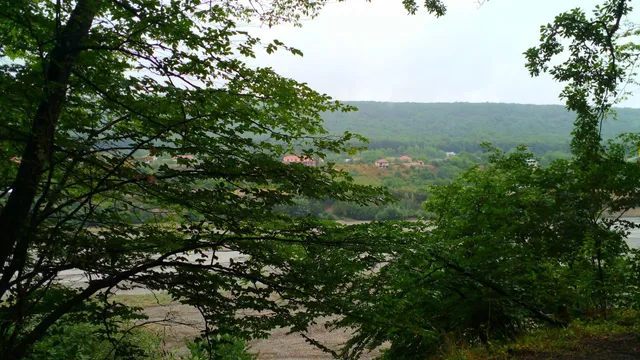 place image