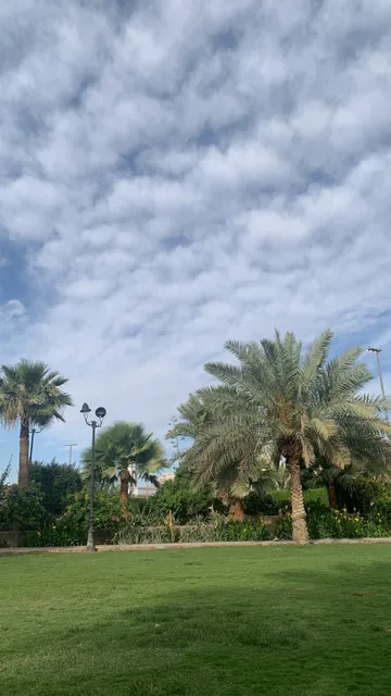Al Aswaf Garden