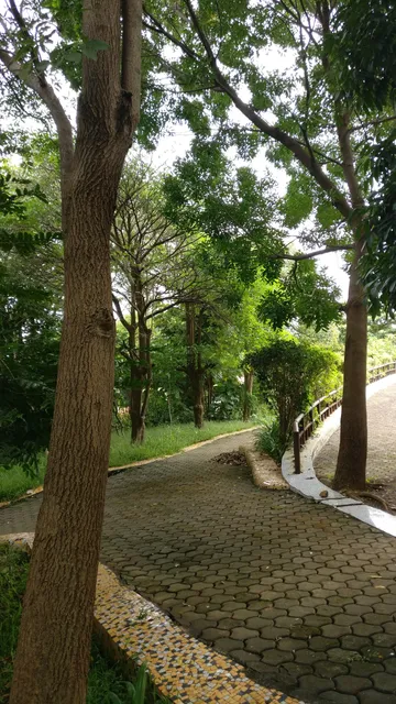 BMC Forest Theme Garden