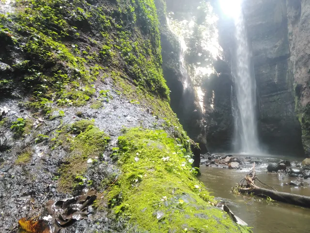 Municipio de Sonzacate