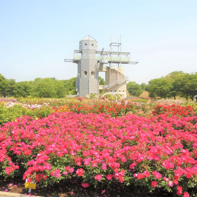 Country Park (Kumamoto Prefecture Agriculture Park)