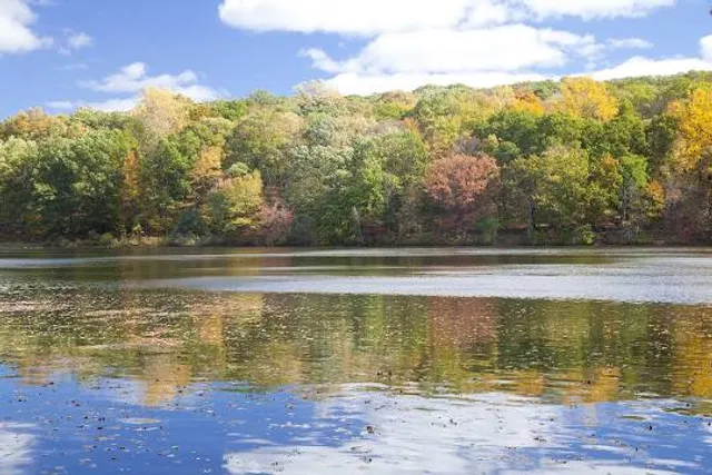 Rockefeller State Park Preserve
