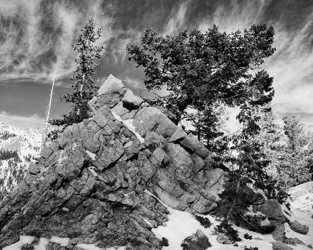 Jackson Hole Ski Area