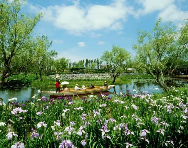 Suigo Sawara Ayame Park