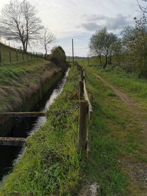 Senda del agua - Tramo Molleda-Pillarno