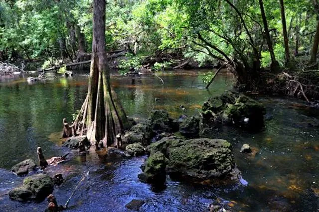 Hillsborough River State Park