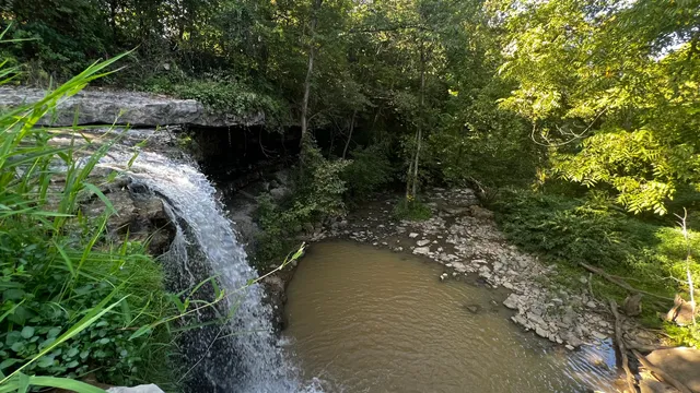 Robinson Falls