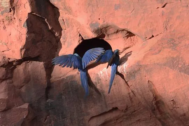 Estação Biológica de Canudos