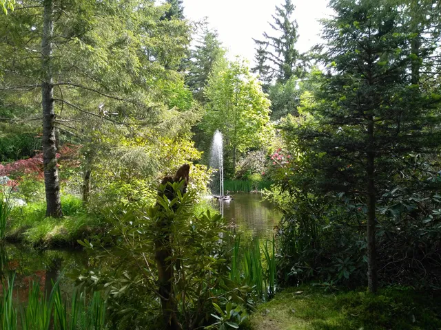 Kitty Coleman Woodland Gardens