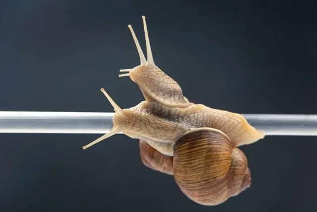 Carteret Waterfront Park