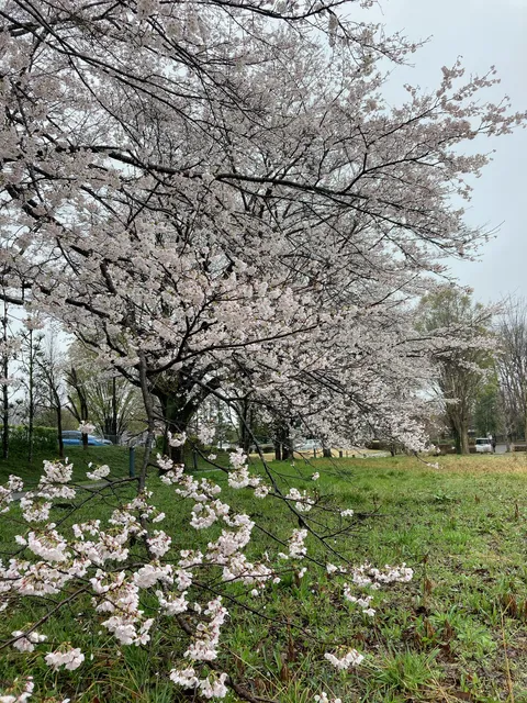Information Forest Tochigi
