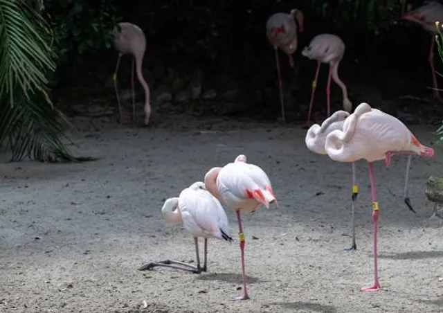Parque Ecológico - “A Tribuna”