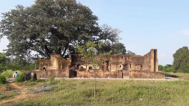photo-1