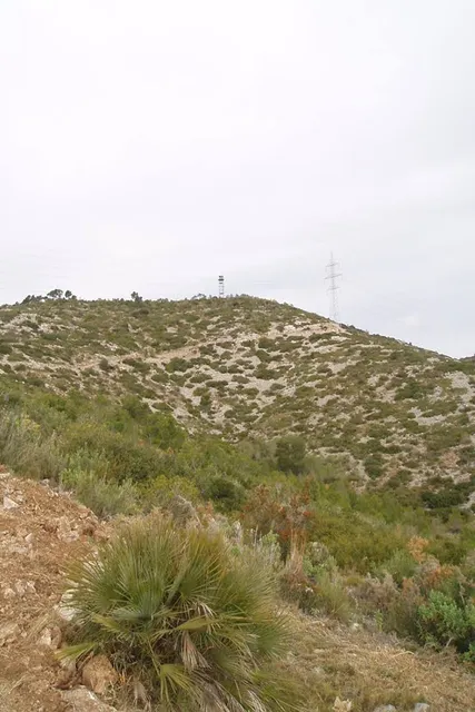 Castellví de la Marca