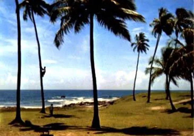 Jardim de Alah Beach