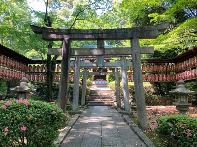 photo-1