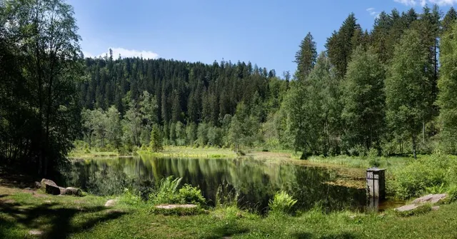 Ellbachsee