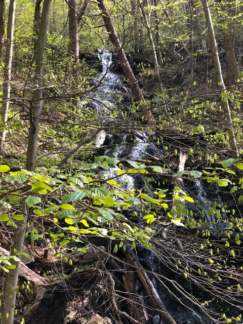 Fishkill Ridge Trail