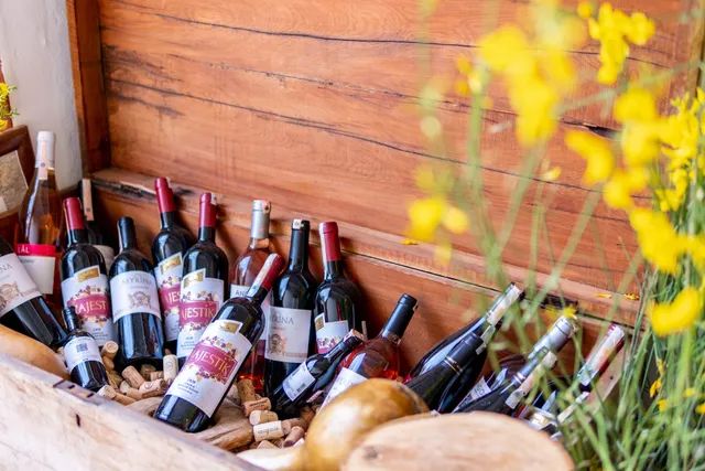 Sea&Blue Terrace Restaurant Cafe Bar