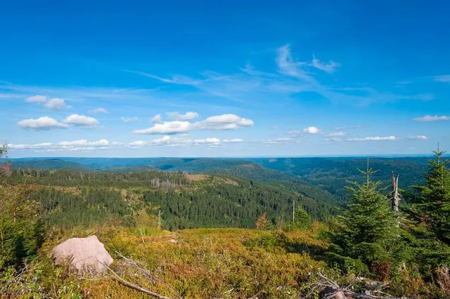 Nature reserve Wilder See - Hornisgrinde