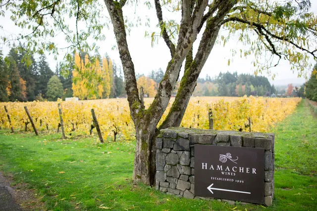 Hamacher Wines at The Winery Lane Collective