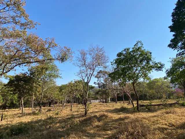 Caminho De Cora Coralina