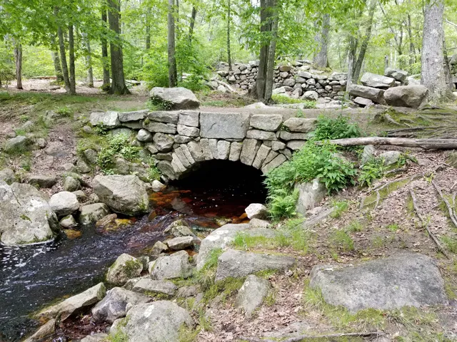 Weetamoo Woods & Pardon Gray Preserve