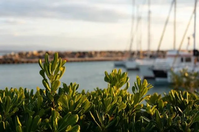 Spiaggia di San Bartolomeo