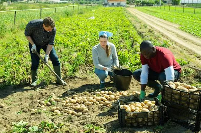 Kamuichashishiseki Park