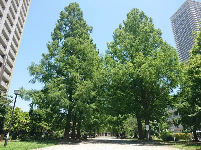 Higashi-senda Park