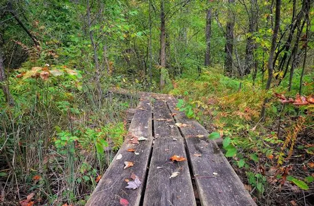 Lincoln Township Park