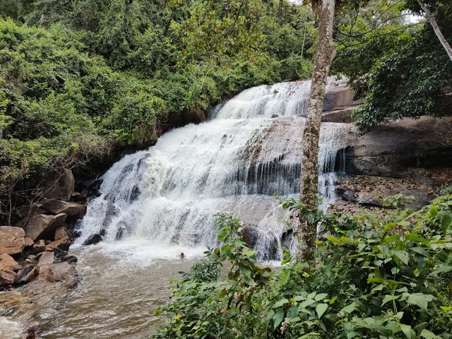 Região Geográfica Imediata de Palmares