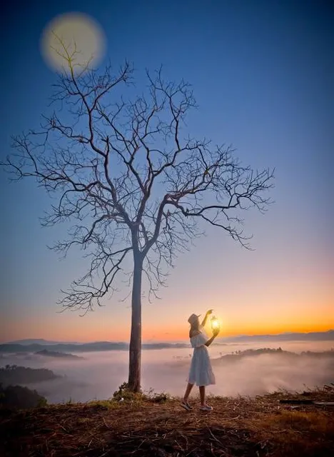 Percy E Quin State Park