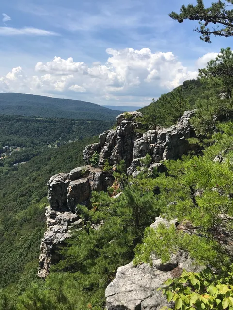 Wills Mountain State Park