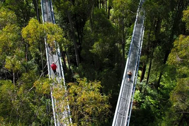 Shire of Colac Otway