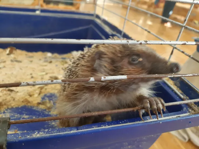 Kraevedcheskii Muzei Oblastnoi Minskii