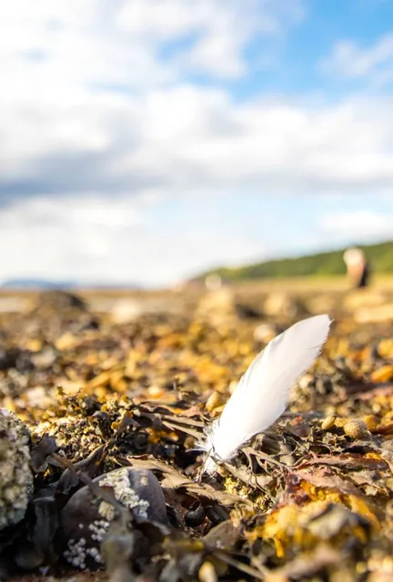 Babine Mountains Provincial Park