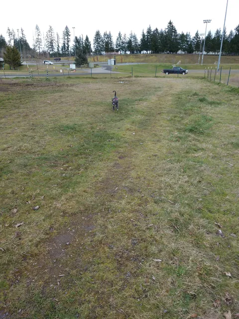 Bremerton Dog Park