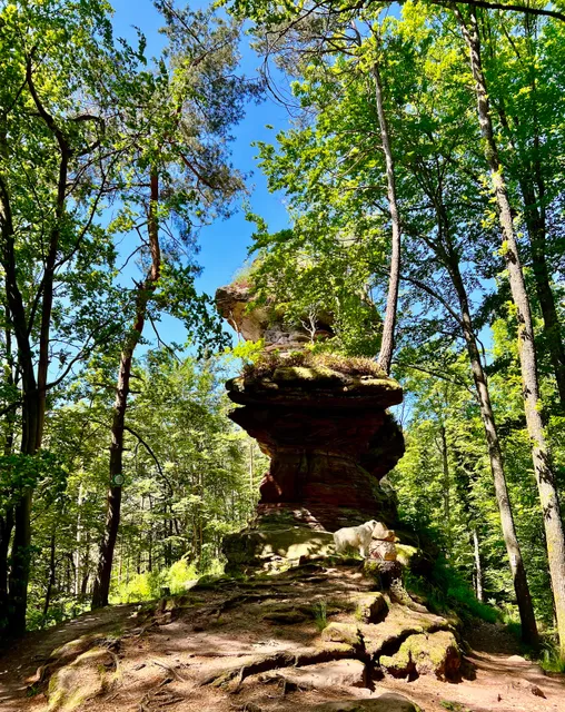 Zigeunerfels - Le rocher des Tziganes