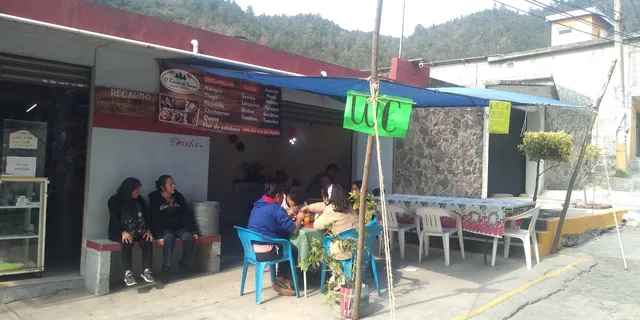 El rincón del bosque