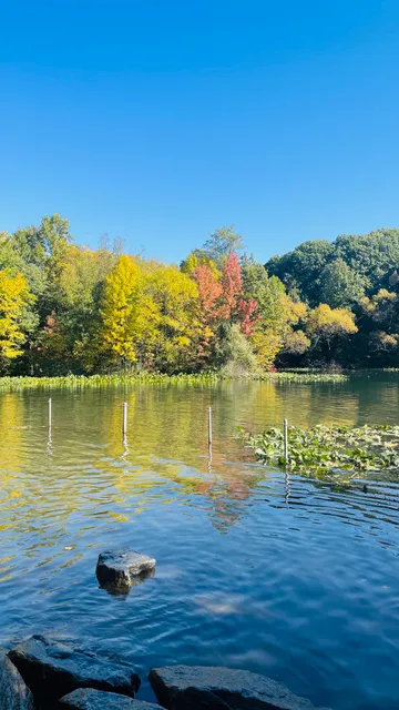 Prospect Park Dog Beach