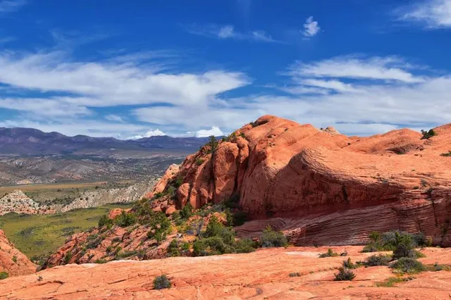 Red Cliffs National Conservation Area
