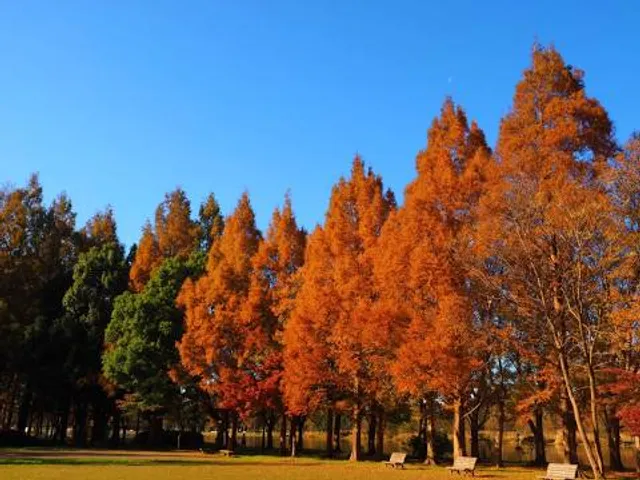 Sagamihara Kita Park