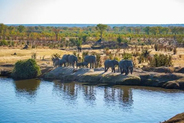 Wisata Bukit Kayoe putih