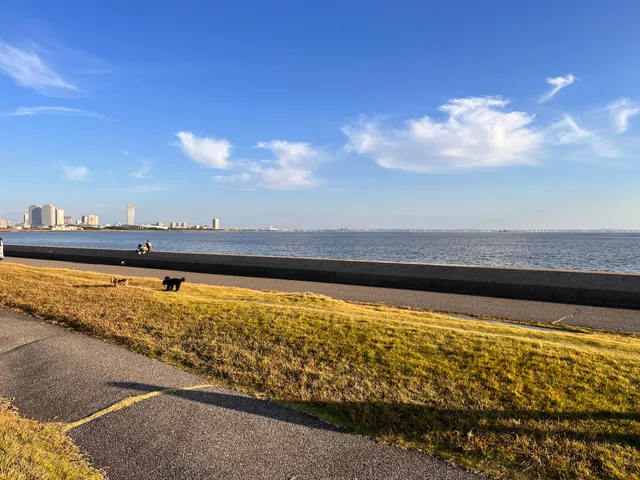 Akanehama Green Space