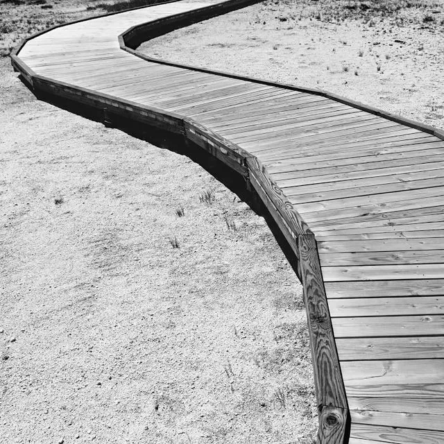 Pinar De La Almadraba