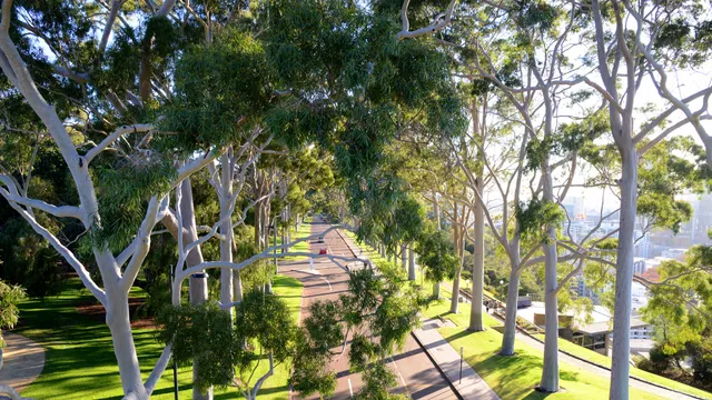 Botanic Gardens and Parks Authority