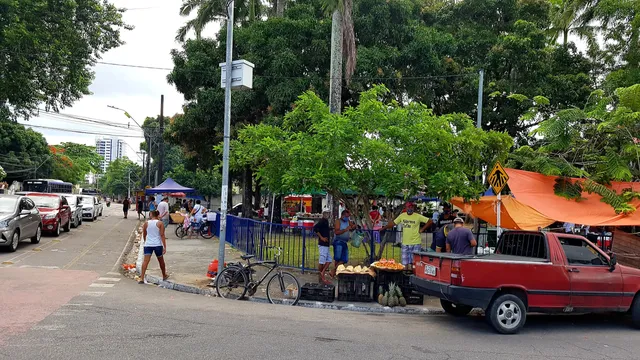 Square Damasio Pinto