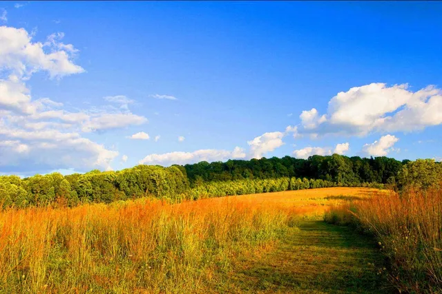 Natural Lands' Binky Lee Preserve