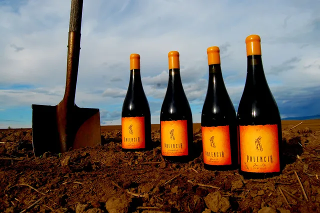 Palencia Winery - Bodega Palencia Tasting Room